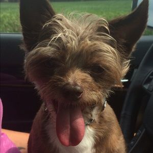 Meet your Posher, Nina