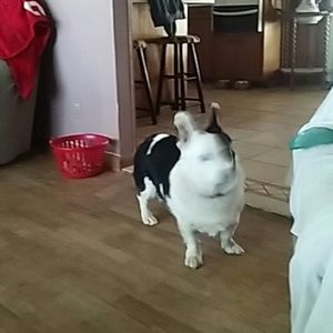 Meet your Posher, Debra