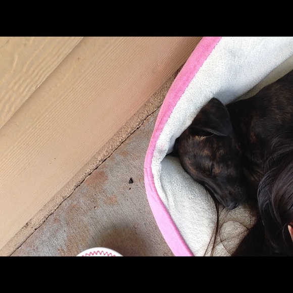 Meet your Posher, Rachel