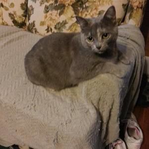 Meet your Posher, Brandy