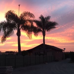 Meet your Posher, Janeen