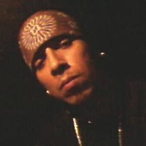 Meet your Posher, Stevie