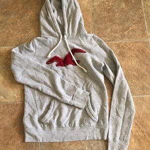 Hollister hoodie