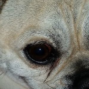 Meet your Posher, Rachelle