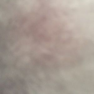 Meet your Posher, Kendall