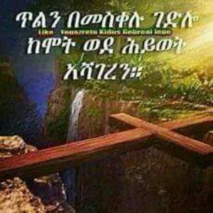 Meet your Posher, Aster