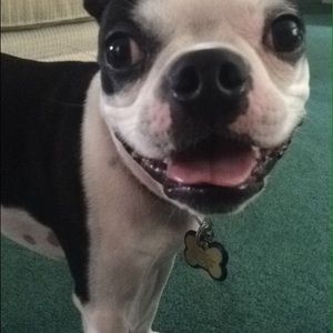 Meet your Posher, Renee