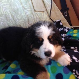 Meet your Posher, Kathy