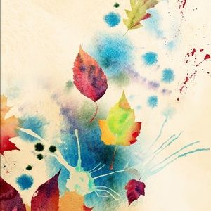 Meet your Posher, Shantel