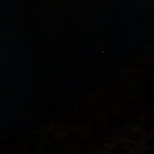 Meet your Posher, Randi