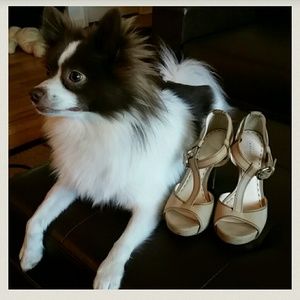 🎈🎊REDUCED!! 🎉🎈Coach Shoes Size 6, color beige.