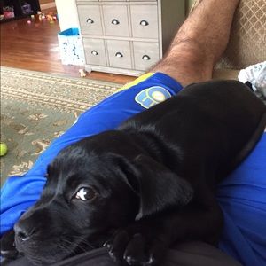 Meet your Posher, Andrew