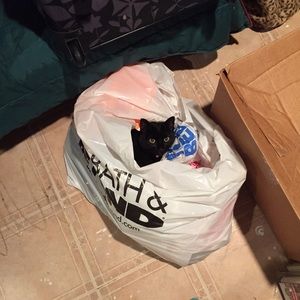 Meet your Posher, Maria