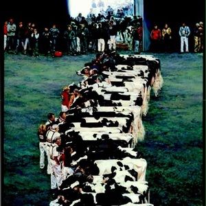 Meet your Posher, Janet