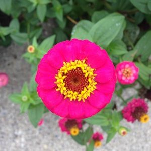 Meet your Posher, Monica