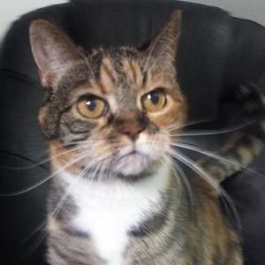 Meet your Posher, Debi