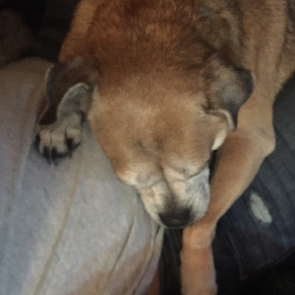 Meet your Posher, Christina