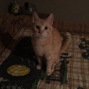 Meet your Posher, Danielle