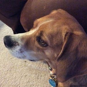 Meet your Posher, Aimee