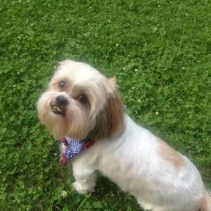 Meet your Posher, Sandy