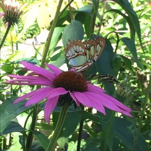 Meet your Posher, Bethany