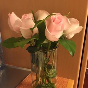 Meet your Posher, Donna