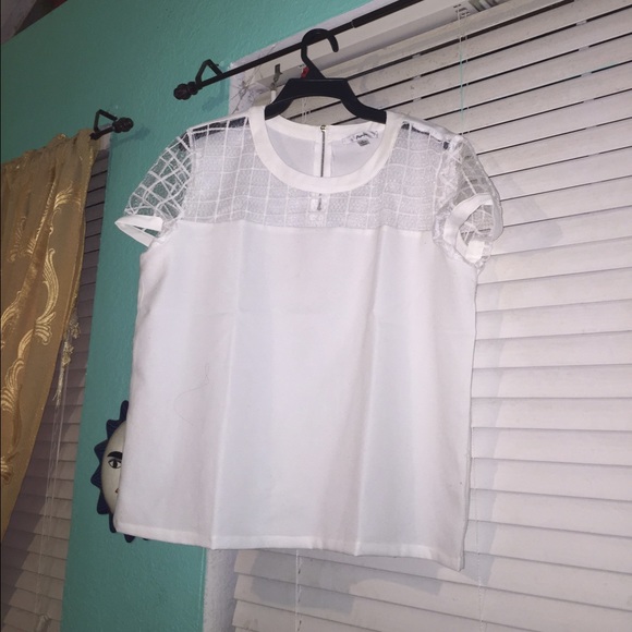 mesh grid top - Picture 1 of 1