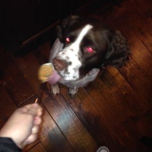 Meet your Posher, Shannon