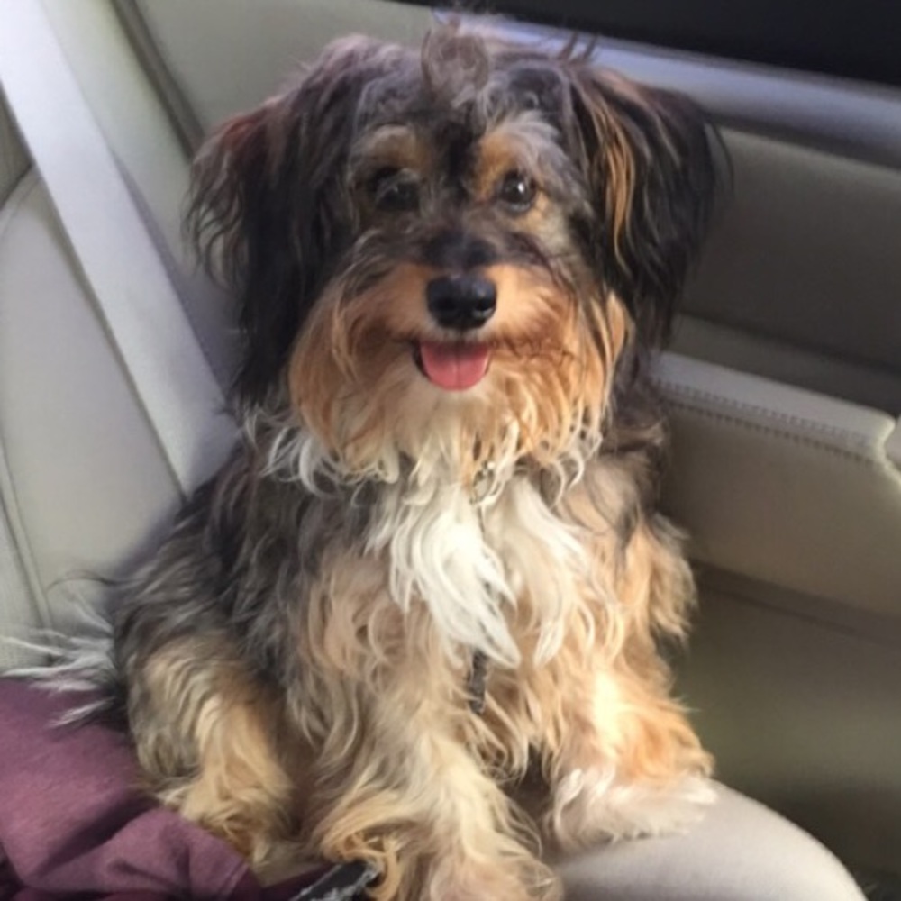 Meet your Posher, Iceaholic.com