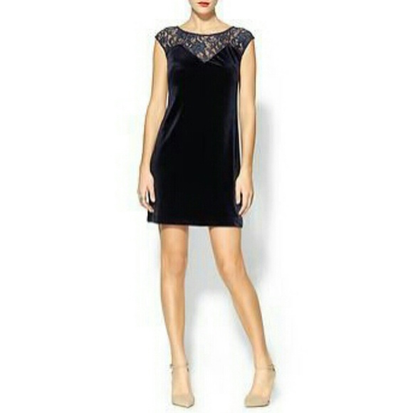 🚫Sold to thrift store🚫Velvet and Lace Yolk Dress - Picture 1 of 3