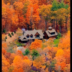 Meet your Posher, Cheryl-ann