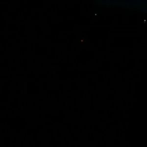 Meet your Posher, Liz