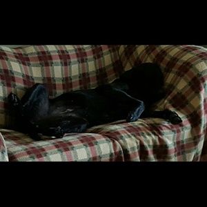 Meet your Posher, Amber