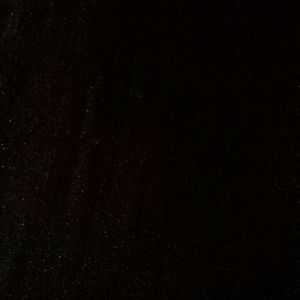 Meet your Posher, Rose