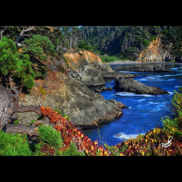 A 8x10 ready to order photo taken in Yosemite