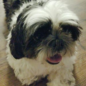 Meet your Posher, Scottie