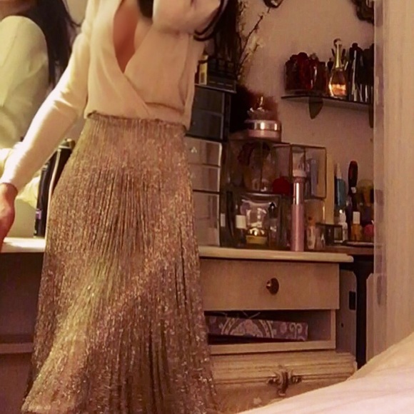 FERRAGAMO statement piece $9000 embroidered skirt