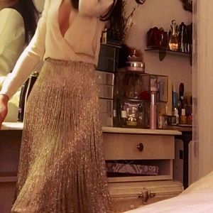 FERRAGAMO statement piece $9000 embroidered skirt