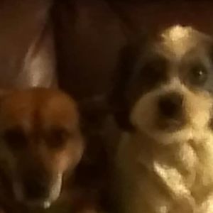 Meet your Posher, Devonna