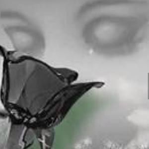 Meet your Posher, Vicky