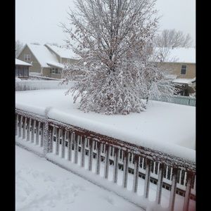 Meet your Posher, Kristi