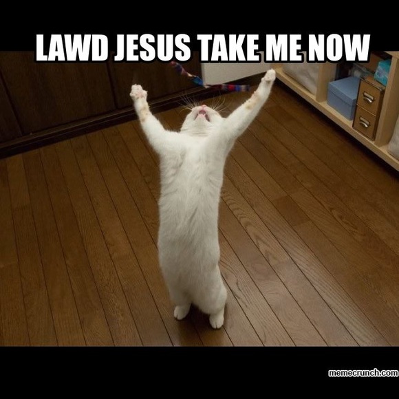 Meet the posher! - Picture 4 of 4