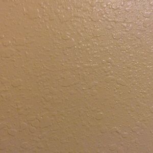 Meet your Posher, Lester clark