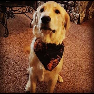 Meet your Posher, Grace