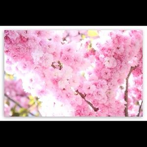 Meet your Posher, Kay