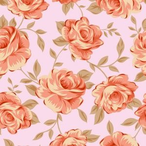 Meet your Posher, Beebee