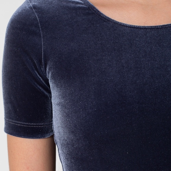 American Apparel Stretch Velvet Crop Tee