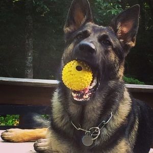 Meet your Posher, Jill