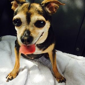 Meet your Posher, Brandy