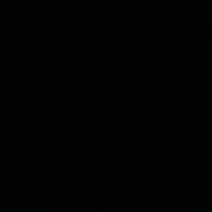 Meet your Posher, Bridget